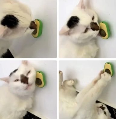 Avopaws™ – Juguete de catnip natural